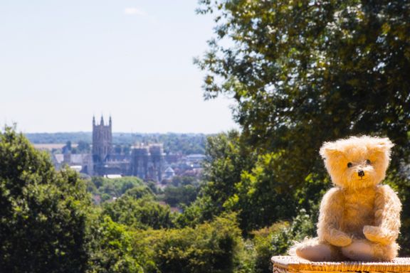 Shoot for Canterbury Bears